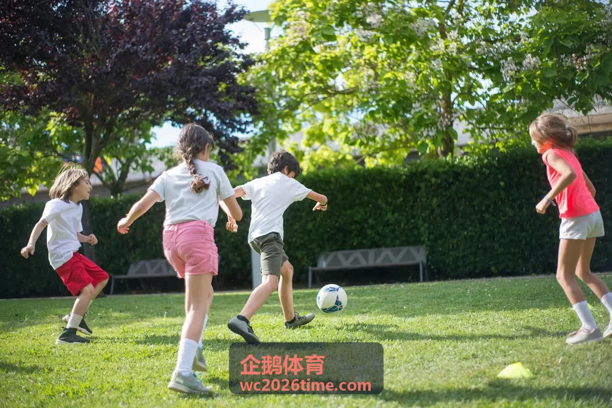 企鹅体育数字直播解决方案